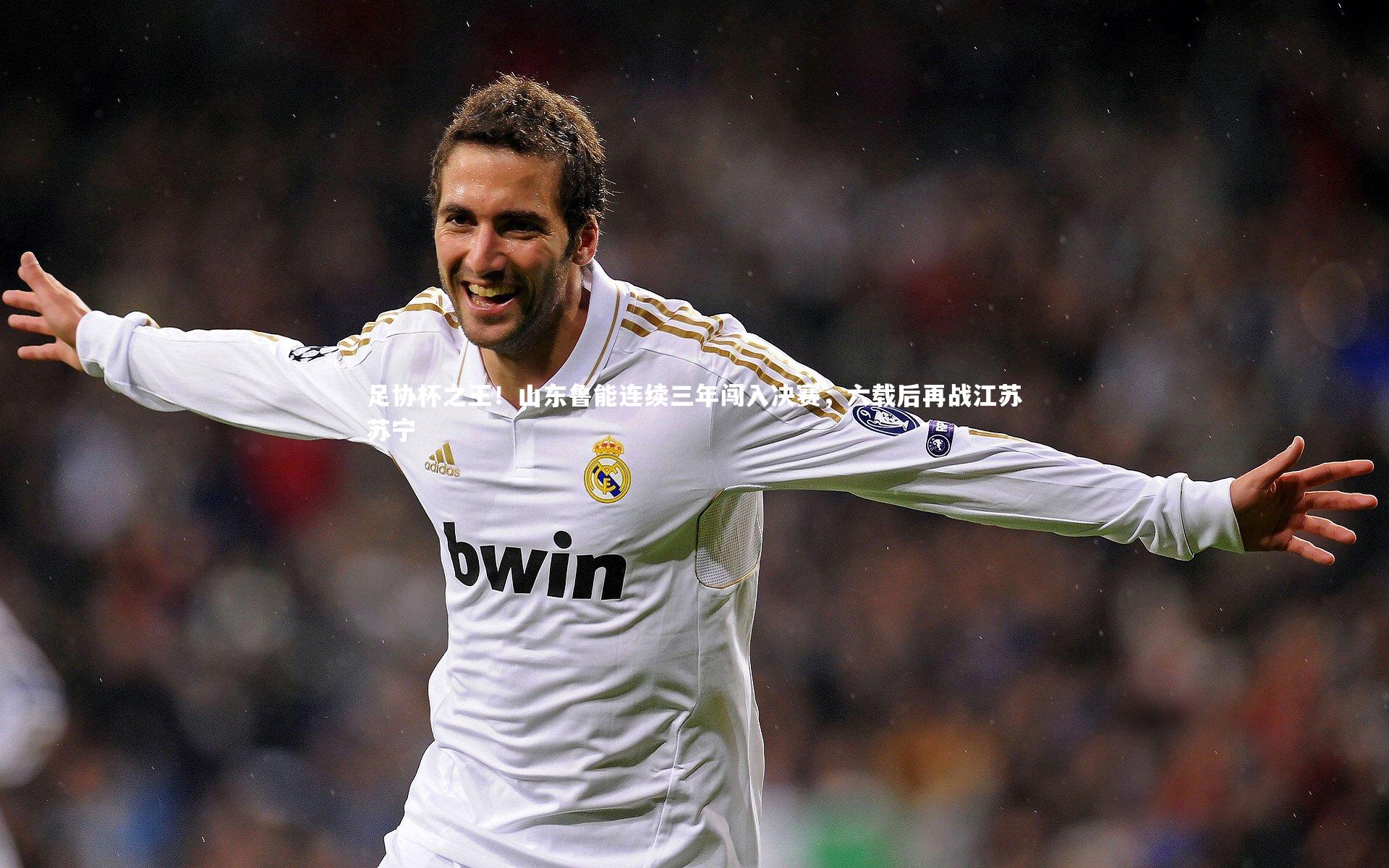 友博体育官网|足协杯之王！山东鲁能连续三年闯入决赛，六载后再战江苏苏宁