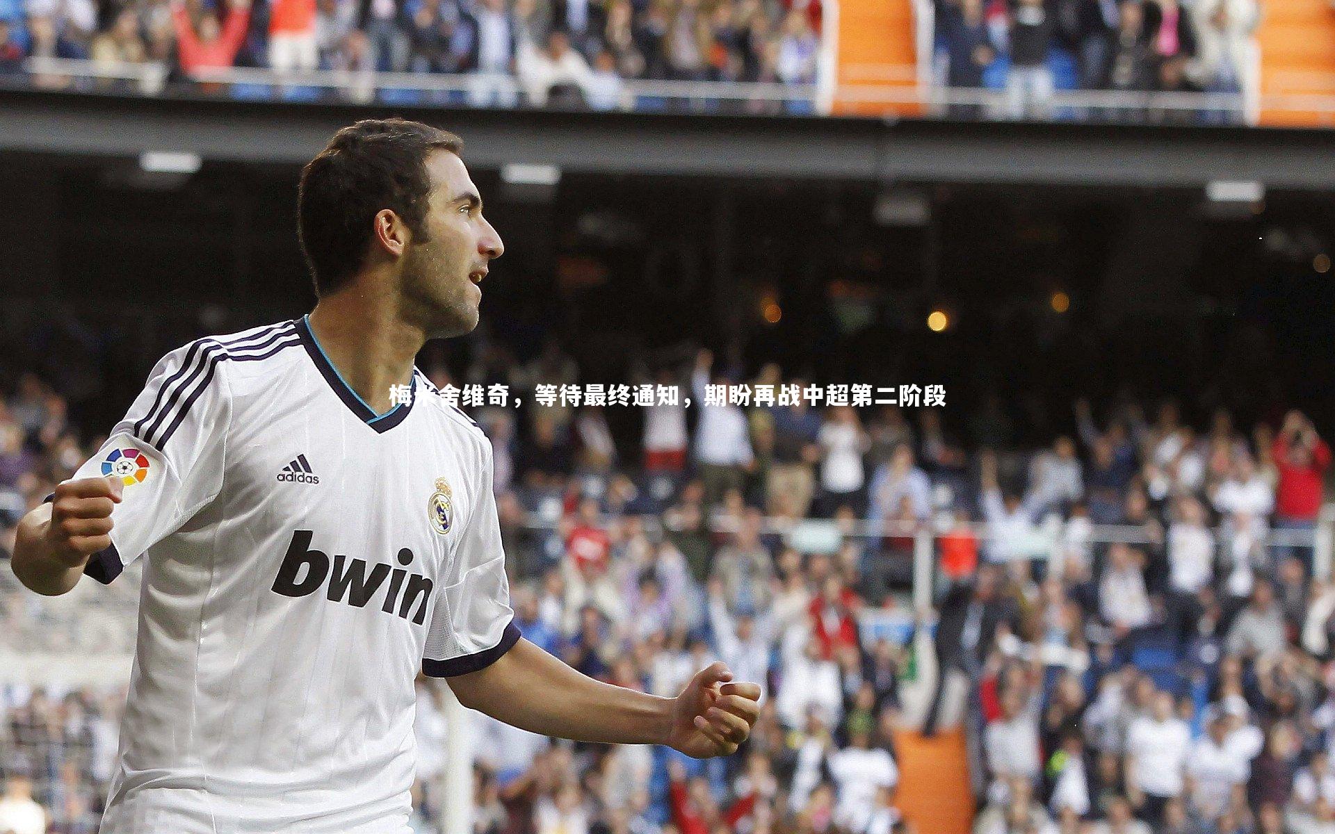 友博体育网页版_梅米舍维奇，等待最终通知，期盼再战中超第二阶段